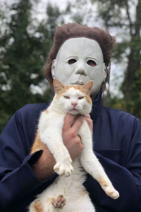 Cats as Horror Movie Villains