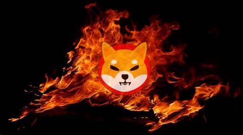 Shiba Inu Burn Rate Skyrockets 39,000% After Mysterious Wallet Burns 1.69 Billion $SHIB