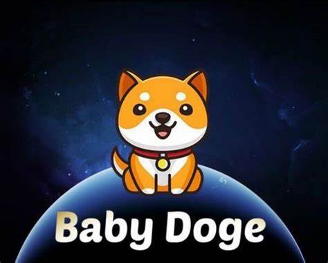 Merchants Can Now Accept BabyDoge As Payment As FCF Pay Adds Support For The Meme Coin - The Crypto Basic