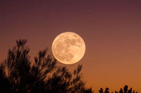 How to see the super blue blood moon even from the East Coast - Mashable