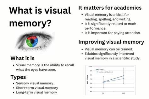 The First Large Visual Memory Model