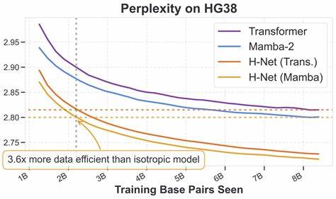 H-Nets – The Future