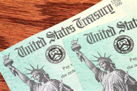 Will Americans Get a DOGE Stimulus Check? The Shocking Truth About Free Crypto and Your Savings! - UP Excise Portal
