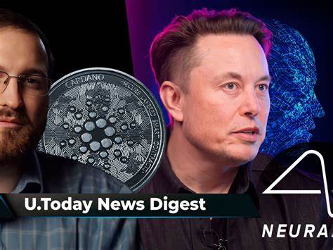 Will Elon Musk Back Cardano? Hoskinson Thinks So - Bitcoinist