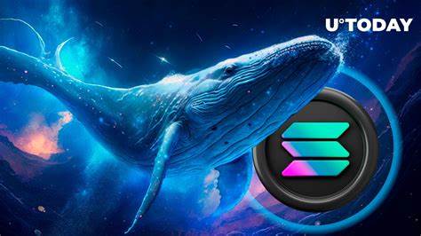 Solana And Dogecoin Whales Maintain Bullish Outlook For XRP Rival 'Remittix' After 4x Gains Springboard Early Holders Portfolios - NullTX