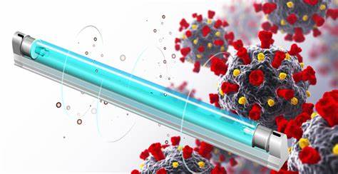 UV chip kills bacteria and preserves food