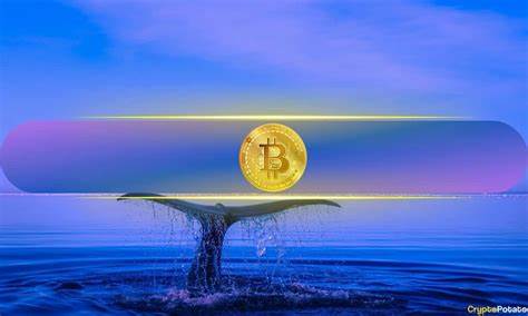 Bitcoin Wallets Holding $100 Surge to Near Record Levels