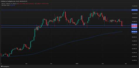 Why Is Bitcoin Price Down Today? BTC Falls Under $91K, Testing November 2024 Lows - TradingView