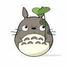 马蹄和序赞网是一个吗? - 知乎