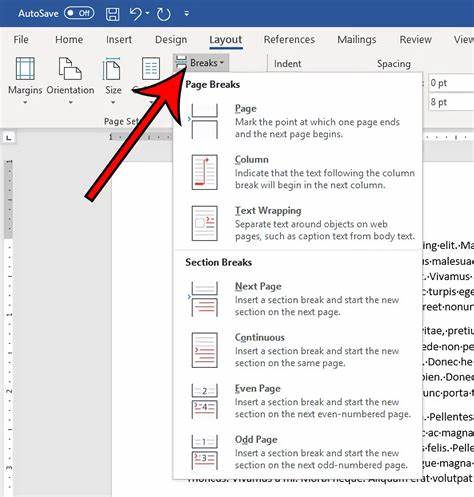 Word中删除空白页的四种方法-百度经验
