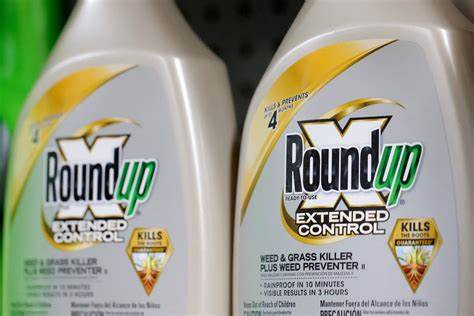 As Roundup verdicts pile up, Bayer bets big on US appeals courts