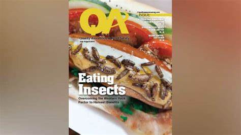 'Yuck factor': eating insects rather than meat to help the planet is failing