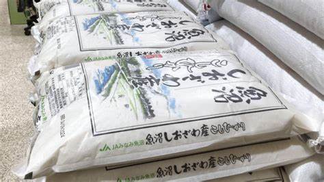 Concerns over rice shortage growing in Japan - Japan Today