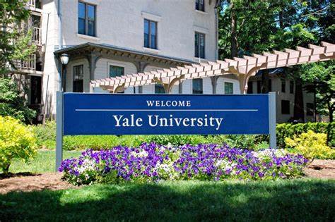 Yale University among investors in new $400 million crypto fund - Built In