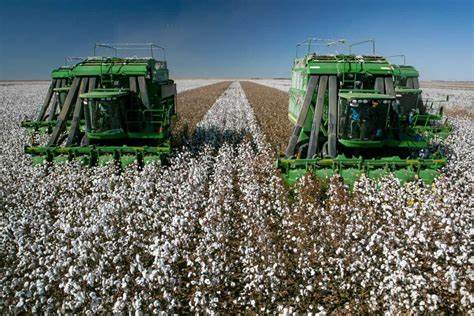 Cotton Sneaking Back Higher on Wednesday