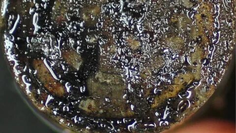 Charm LA: repurposing old oil wells for carbon removal in Louisiana