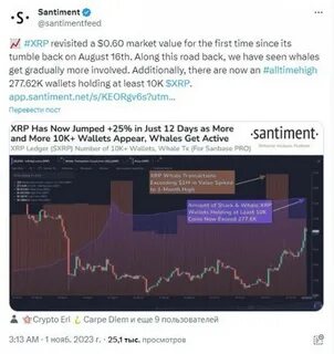XRP, Cardano, Solana sink as U.S inflation data run high - Nairametrics