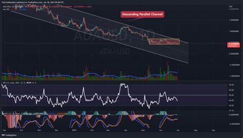 Can Cardano (ADA) Recover Its Place Above XRP? Expert Says ETF Launch Could Be Game Changing - CryptoDaily