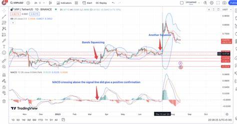 XRP Bollinger Bands Get Thinner, Analysts See Possible 65,000% XRP Rise - The Crypto Basic