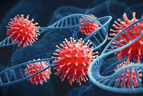 Scientists find new virus that could infect humans in same way as COVID-19 - More Radio