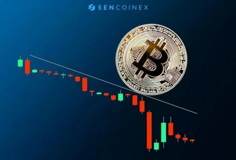 Crypto market is still bullish despite a new sell-off [Video] - FXStreet