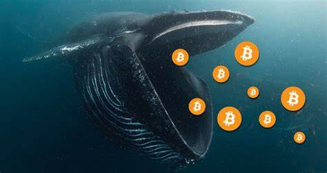Cryptocurrency Whales are ‘Preparing For Next Altcoin Rally’ By Setting Up Massive ‘Buy Walls’