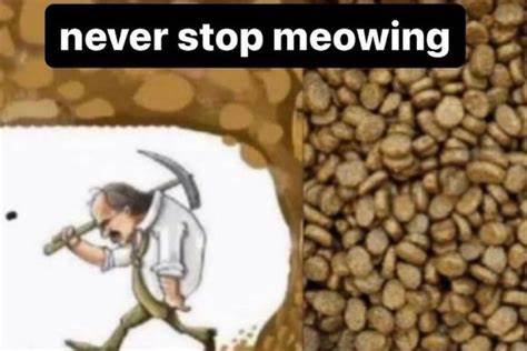 Never Give Up" / Digging for Diamonds - Know Your Meme