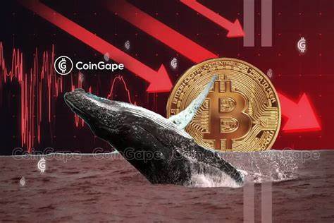 Whale moves hint at a crypto market shake-up this April - northernforum.net