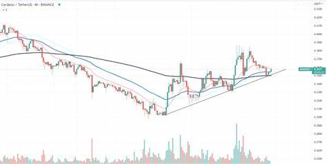 Cardano (ADA) Enters Stage 3 That Will Trigger 4,500% Rally To $15 - NewsBTC