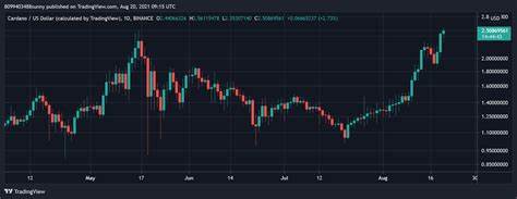 Huge Influx Of Solana and Cardano Holders Into This New Altcoin After Experts Call It The Next XRP - CryptoDaily
