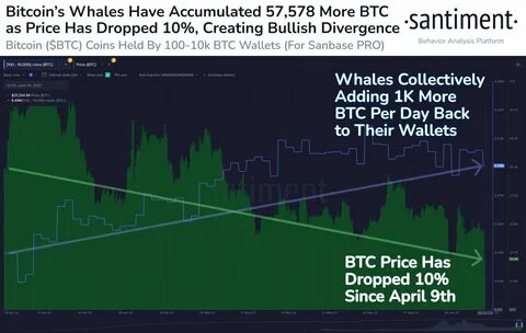 Retail FOMO Returns as Whales Accumulate – Is Bitcoin (BTC) at a Major Turning Point?