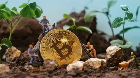 The environmental burden of the United States’ bitcoin mining boom - Nature