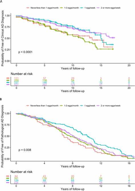 Association of Egg Intake with Alzheimer's Dementia Risk in Older Adults
