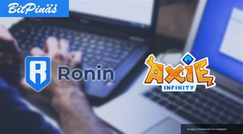 How to Protect your Ronin Wallet, Axies, and Axie Infinity Account | Philippines Guide - BitPinas