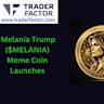 $Trump and $Melania: What are meme coins and how do they work?