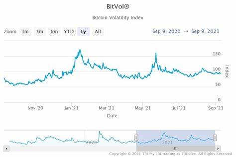 Bitcoin's volatility: Risk or opportunity for investors? - MSN