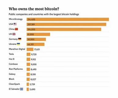 Who owns the most bitcoin? - The Economic Times