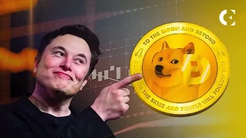 Dogecoin fan Elon Musk says ‘don’t bet the farm’ on meme coins - Quartz