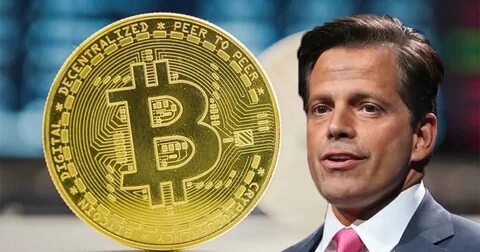 Bitcoin is here to stay but meme coins have hurt the crypto market, Anthony Scaramucci says - Quartz
