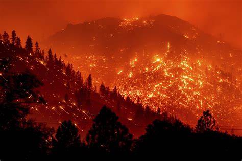 Bitcoin Owners: Devastating California Fires Are A Wake-Up Call