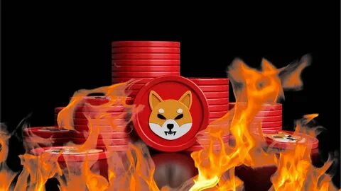 Shiba Inu burn rate drops 100% as memecoin market crashes