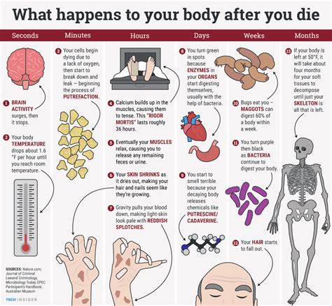 What happens when we die?