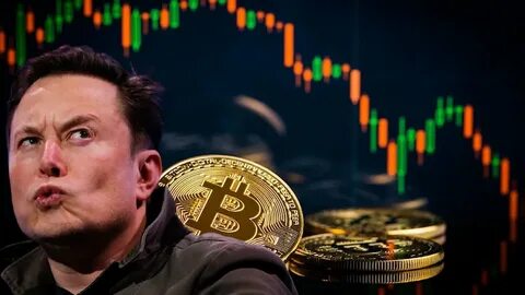 Fireblocks exec says Elon Musk’s X Money expected to be crypto-ready by 'end of this year' - The Block