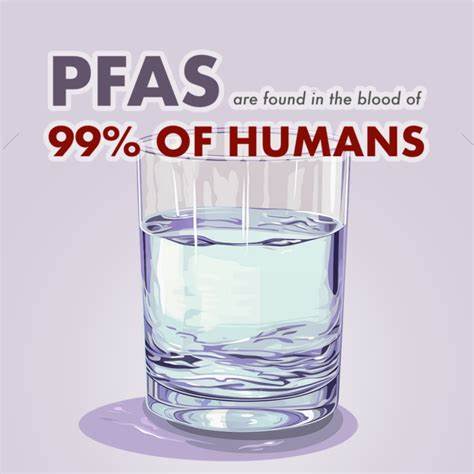 Dutch authorities: Almost every Dutch citizen has too much PFAS in their blood