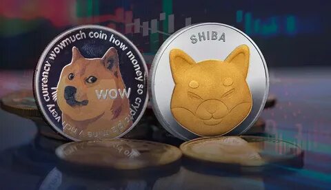 Why Cryptocurrencies Shiba Inu, Solana, and Cardano Are Falling Today - The Motley Fool