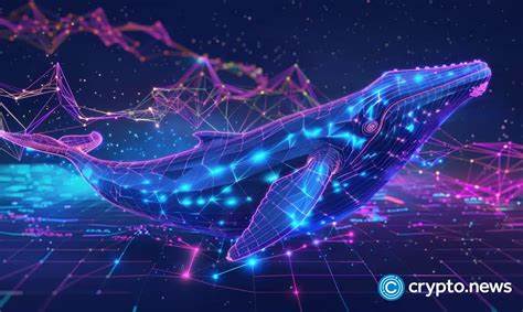 Bitcoin Whales in ‘Accumulation Phase’ After Trump Inauguration: CryptoQuant