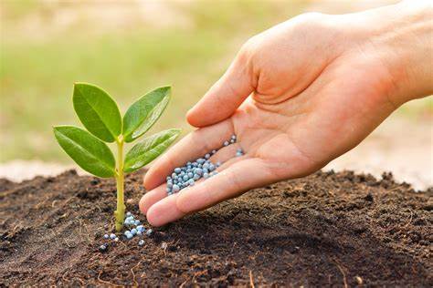 Darling Ingredients (DAR) Taps Global Collagen Market with New JV