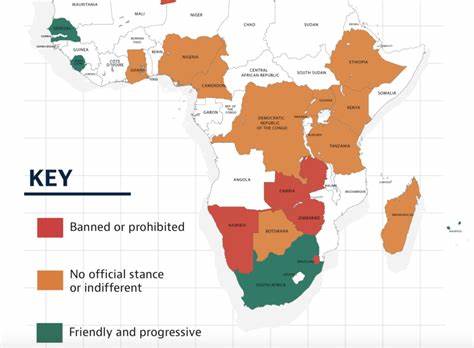 The Role of Government in Cryptocurrency Trading - African Arguments