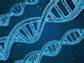 H.C. Wainwright Reaffirms Buy Rating on CRISPR Therapeutics After CTX310 Update