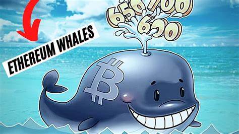 Ethereum Whales Go on a Selling Rampage — Is the Ether Price Set for a Freefall? - ZyCrypto